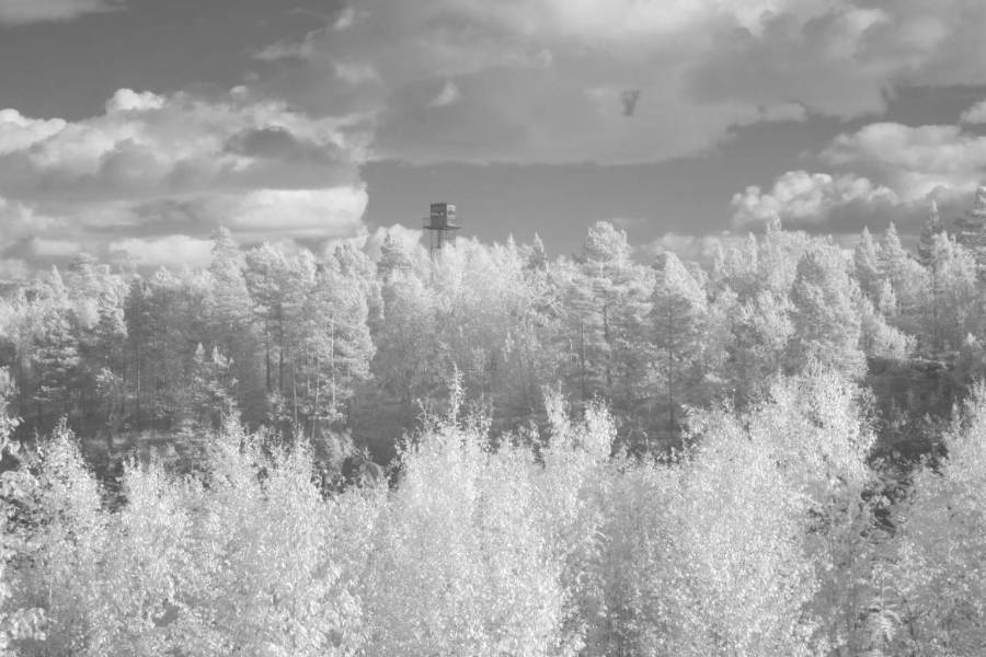 11055f2193499c861380e7a0b1003b06dc81367b