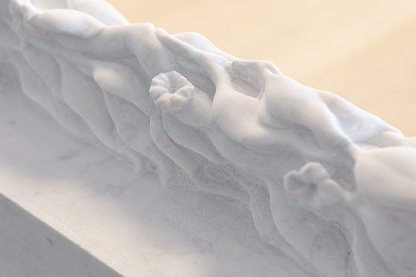 292d40aab219b9501b836b5e5c108f5db376cff5