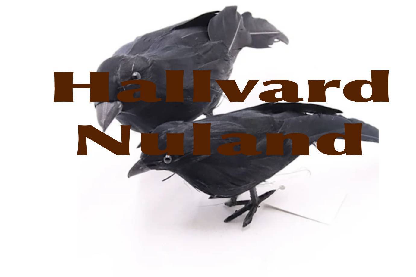 300797939323d1224e8acd6822f45cd1e1589034