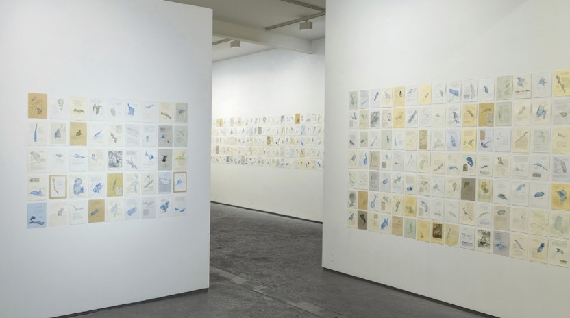 53b7c275378957d33e2abd5bb8b9a9de7f82bb40