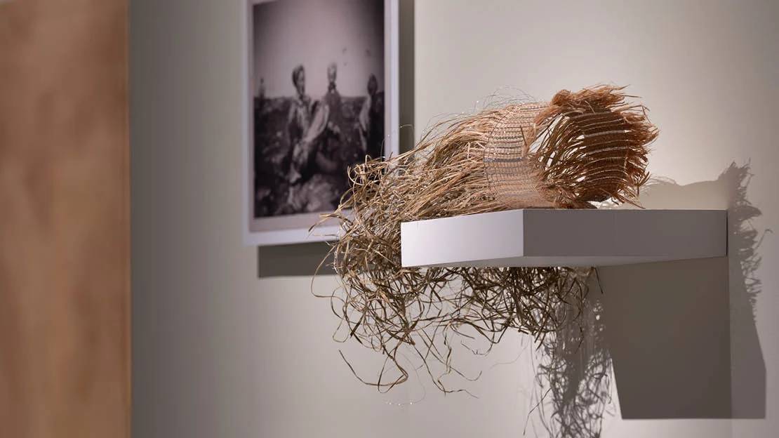 694846486cecaf8fb265e09eae97e505a3c0df03