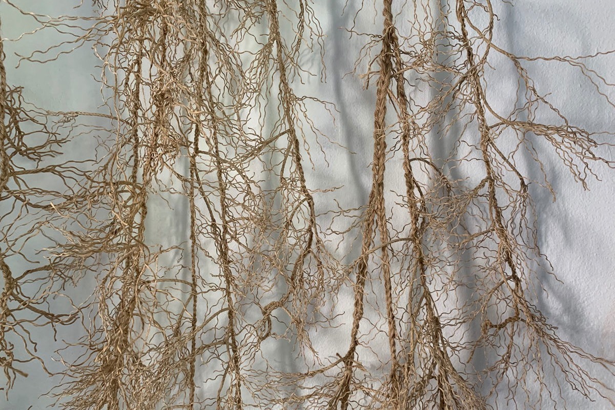 6b1fe388a9cc4c4fc777b5fe0988af773bdbc477