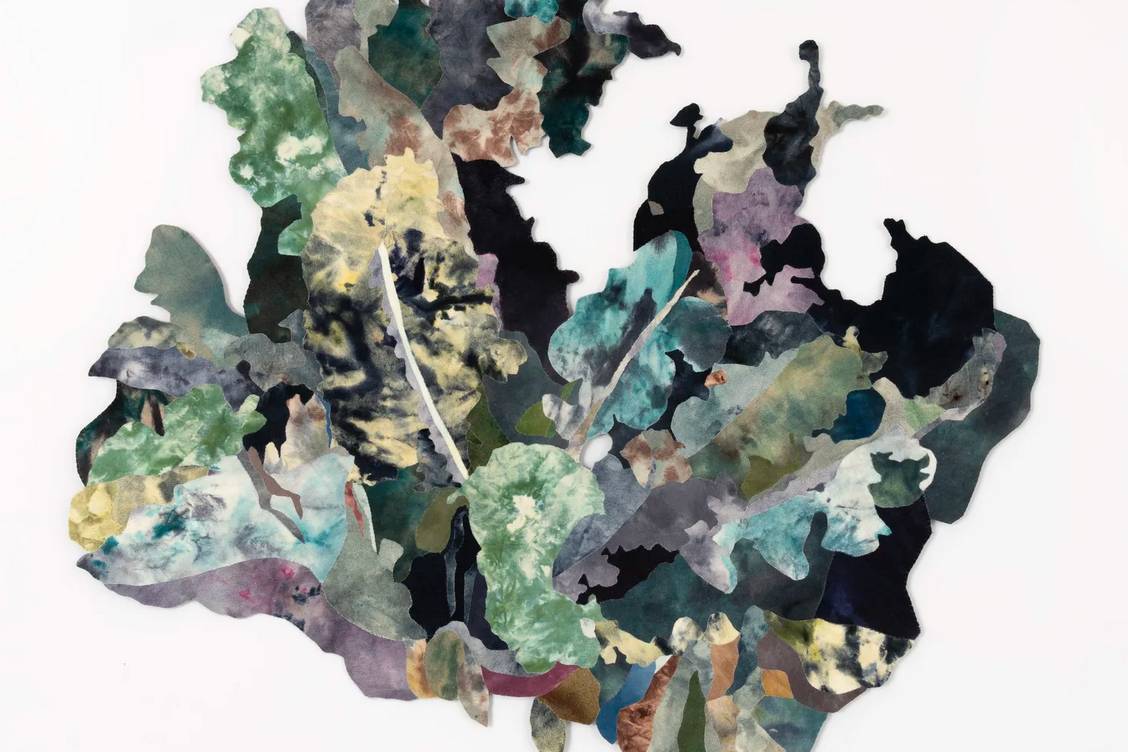 7367668bd2f8a298038cd66017e14ba57546c0f0