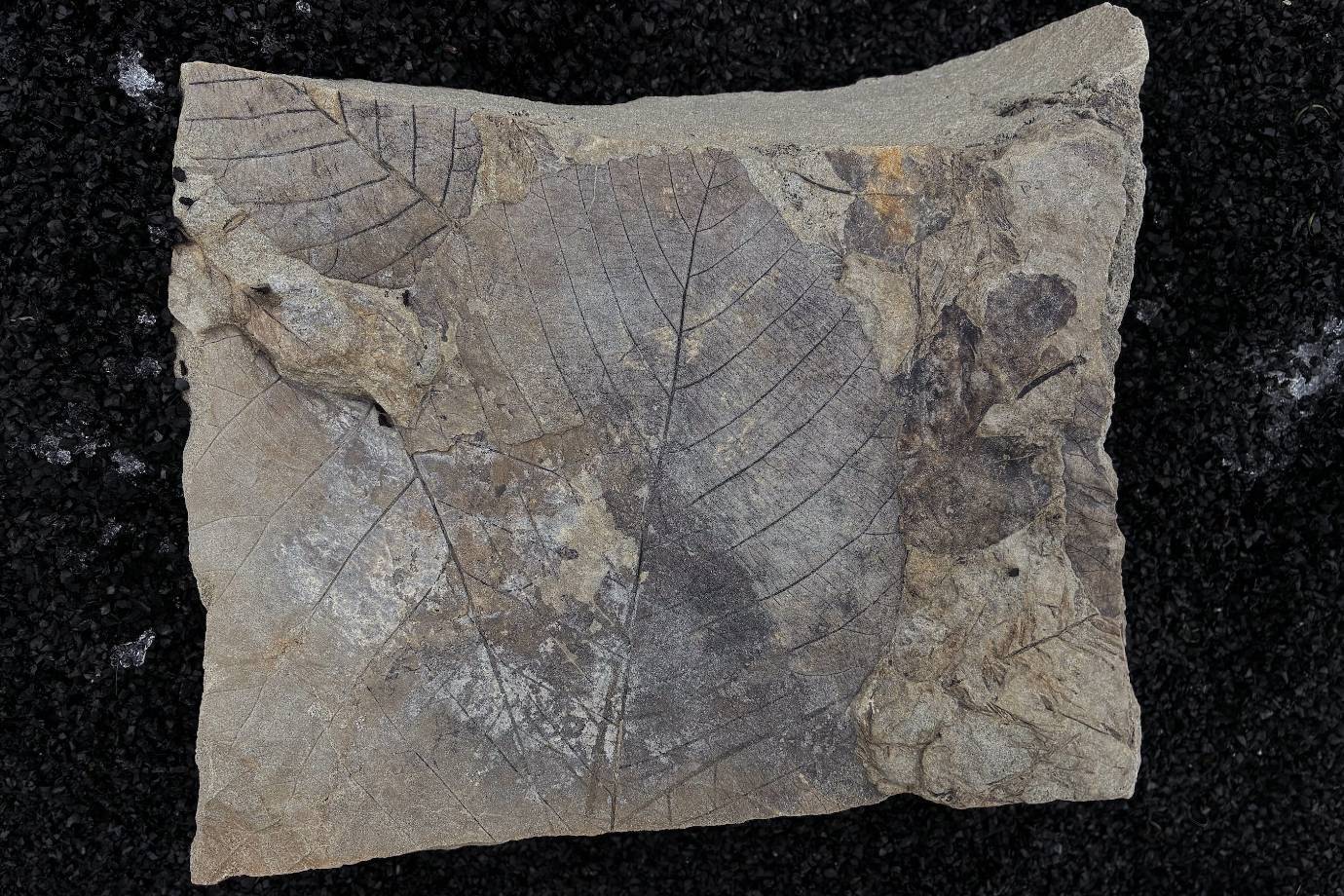 7a27c1d6245b30377cebc3b3908be10df077564f