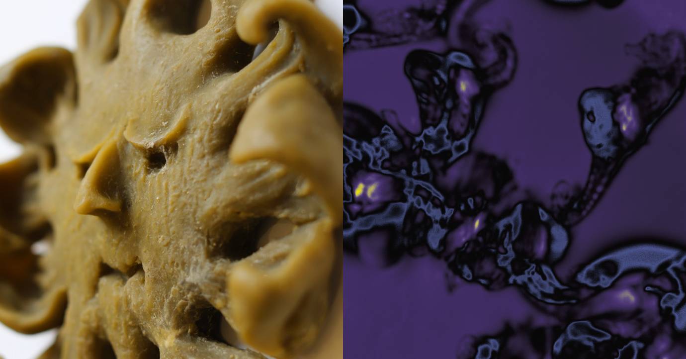 802a447ac4dc8ad077976779e630c9c127b4d8c0