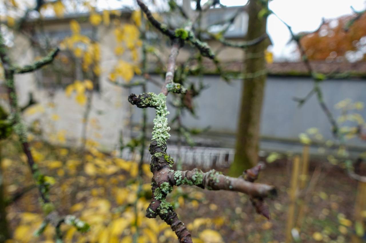 8196aa020df7af23899ca3e338a9aa304485a442