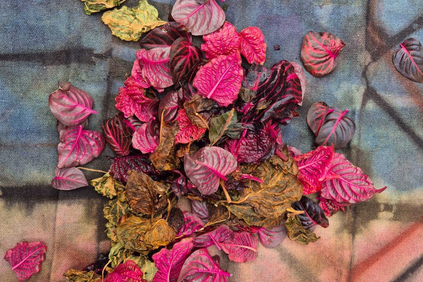 8e1ee00dad17a3c0c52c6b35e9414e944b9372ab