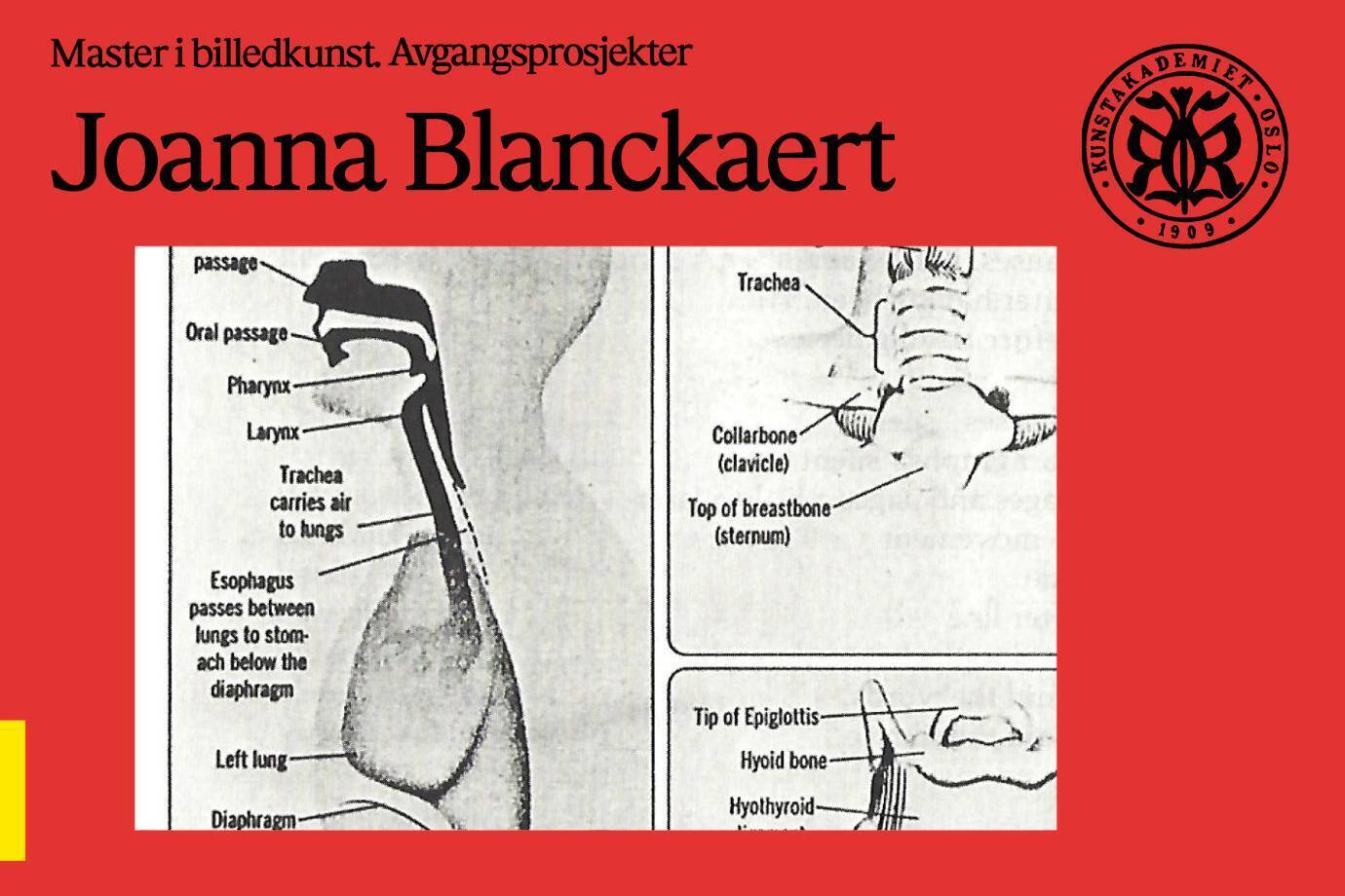 9a861ec49bf11ca5b44a84afaadbabcab42c0dae