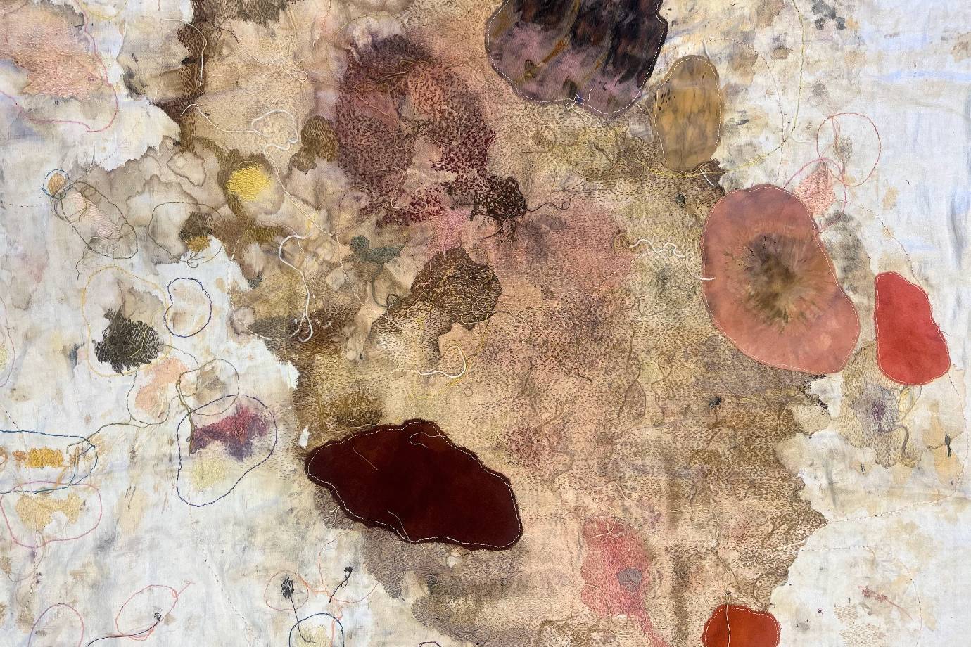 A2cbcc17f8d4af6147d24b1e2b6c64508b6b2c04