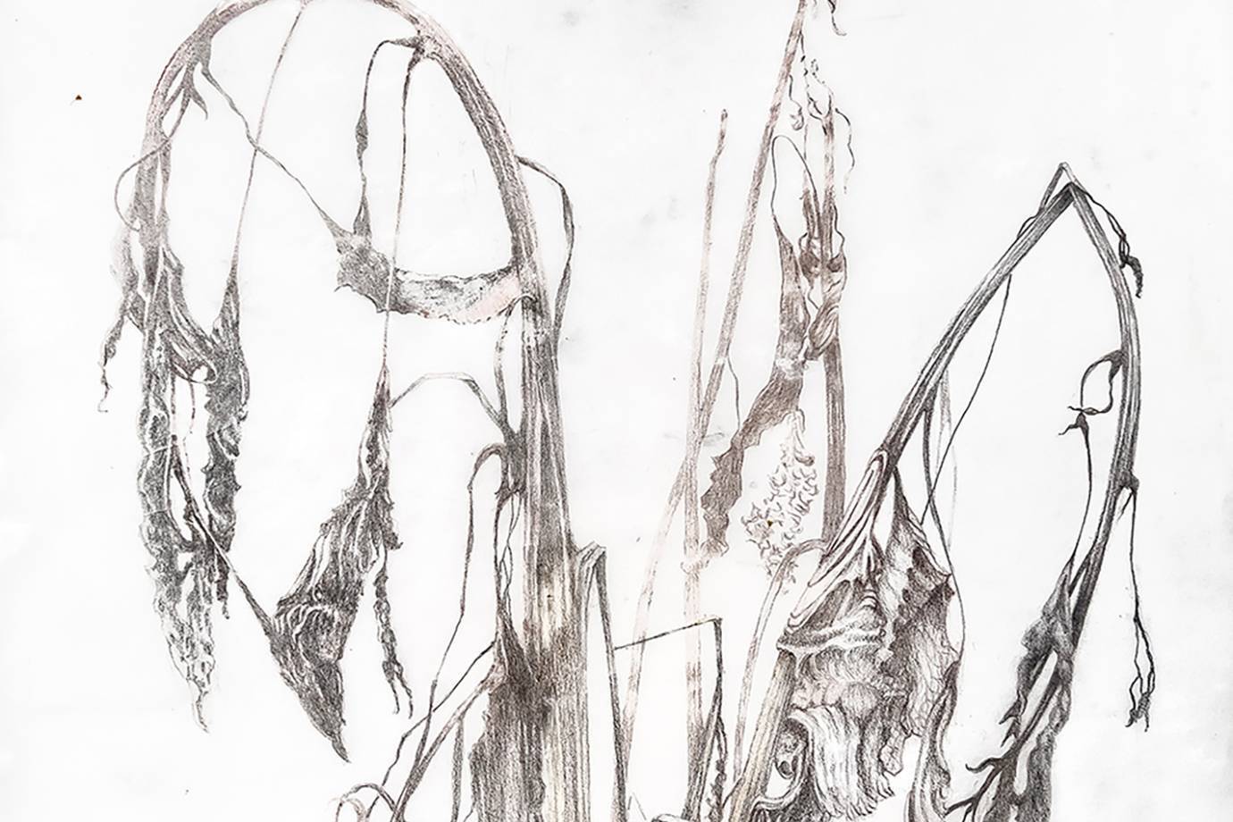 A73dd01154d1d6ed28e04a86590693ea74df7206