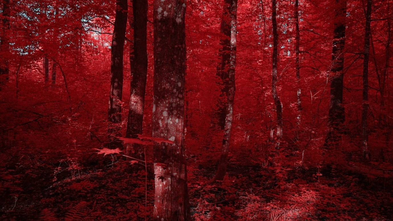 B853506b724590e83fe02449374b0f7398ab6819