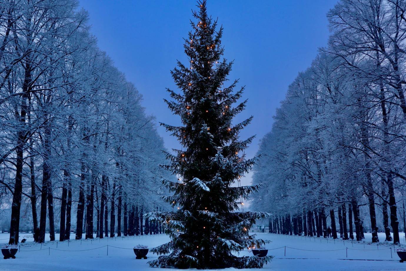 Bdda719af7e57a59ffbaec5e63b3dd49eb8380b6