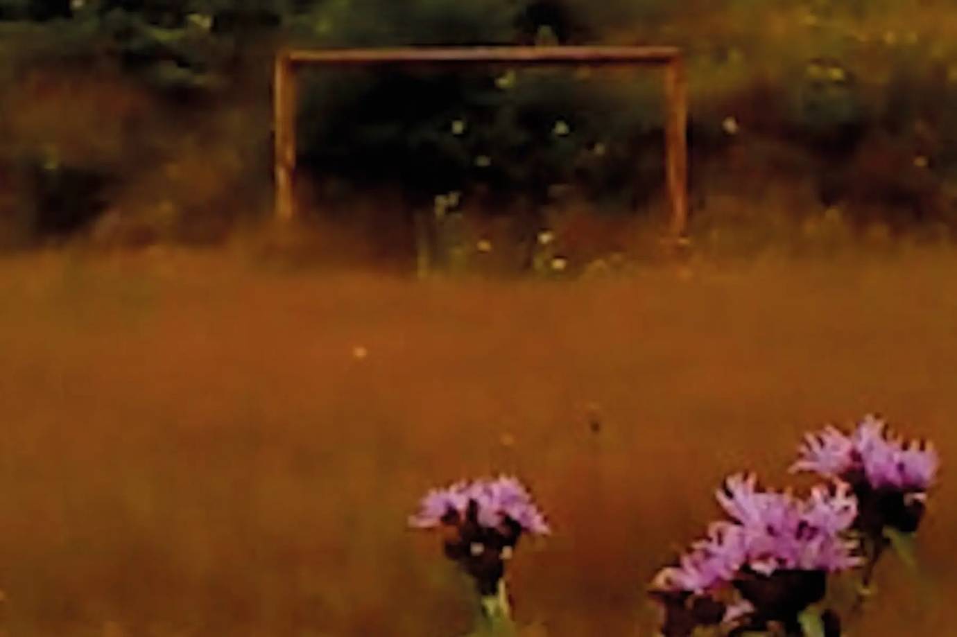 Caa67b8852e581c923c3308f98f4eb8b64eae27e