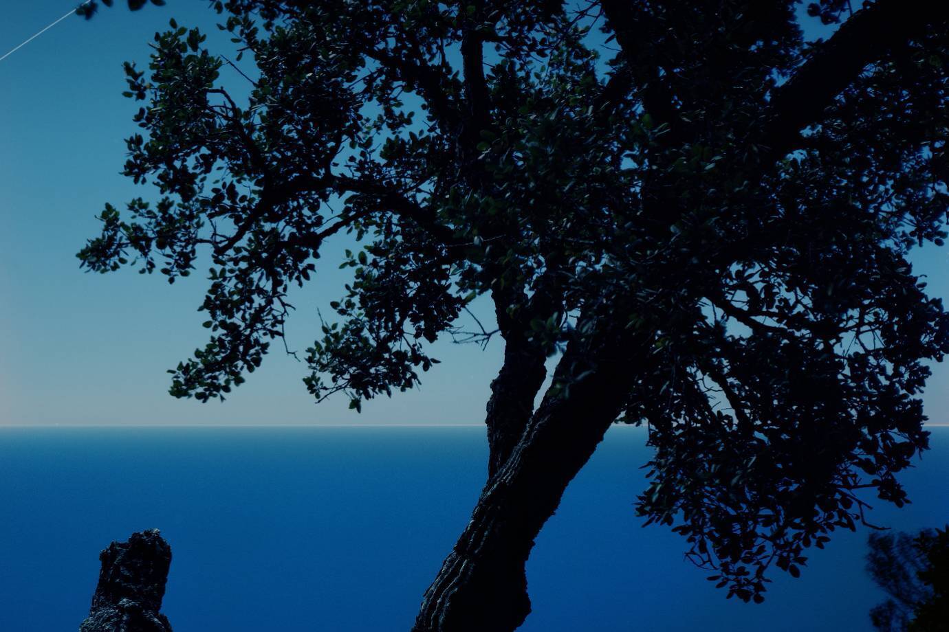 D4a8a77f9f89355a70ef79b66881222a69cc04f4