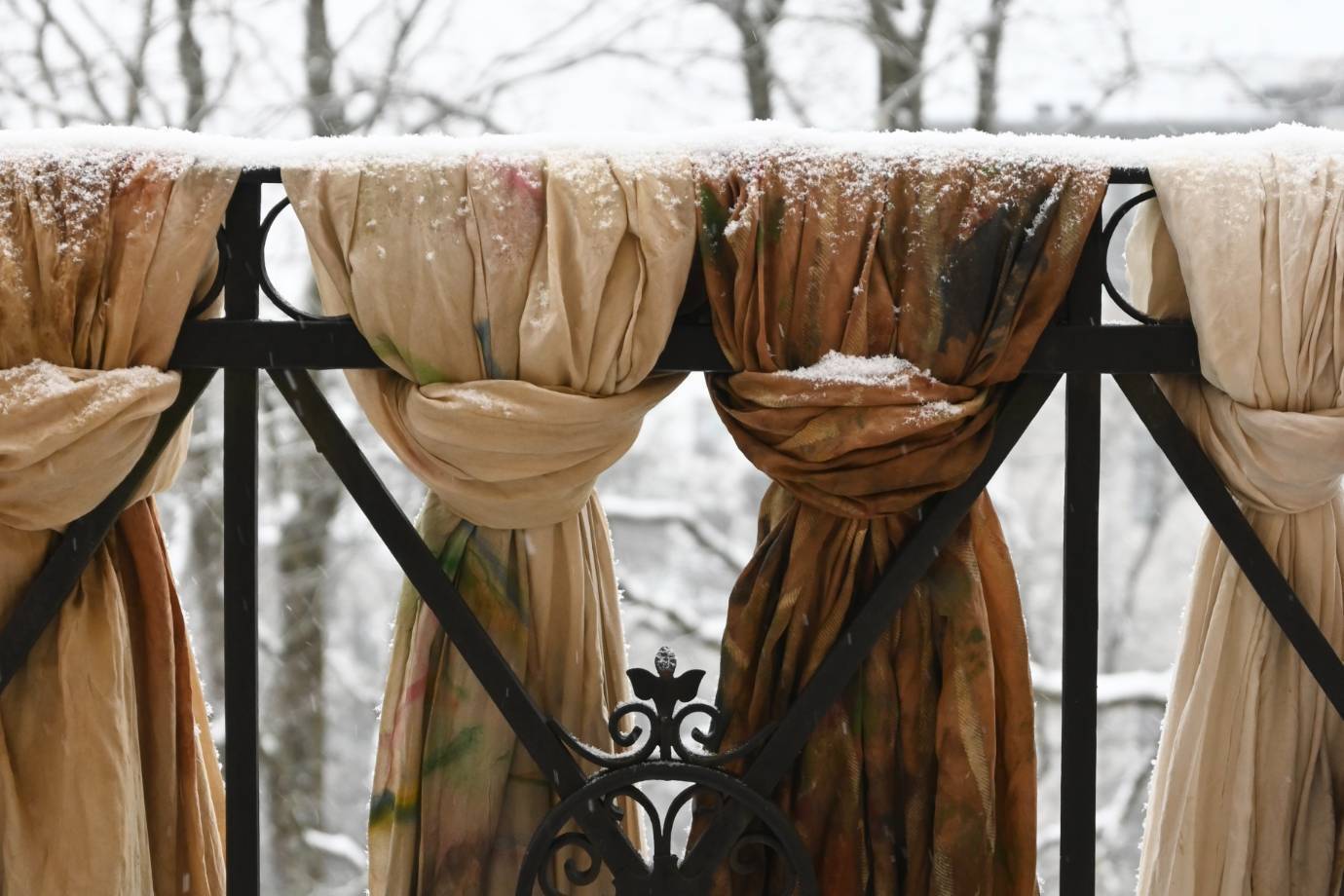 D58a24b323e40ac53e45a5cda031b5873493e436