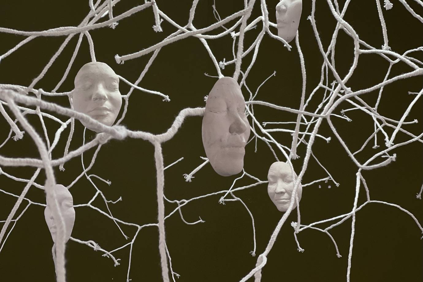 Db7ecade7e93384119fede8a149bc5ab27062dea