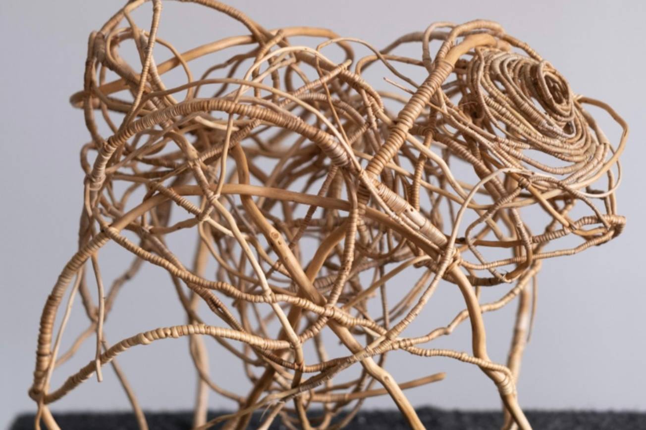 Dd0d0b4668c66c06a24bd406673b56ba84b351b9