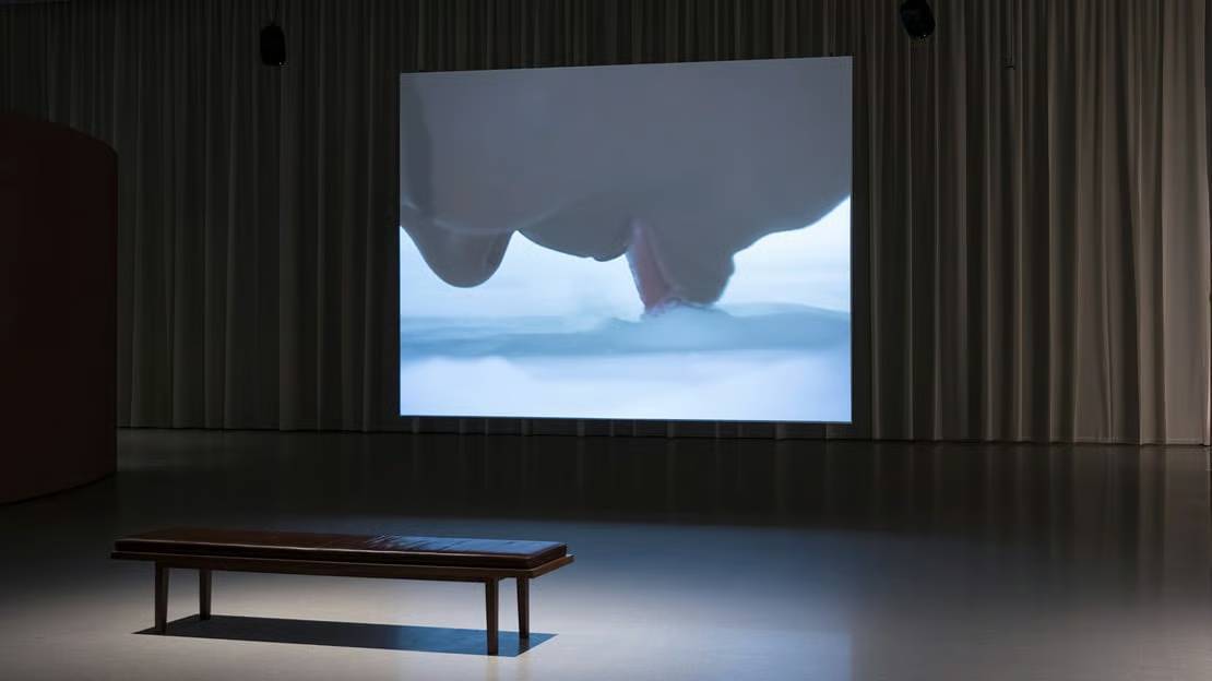 Dfdc32106b5a99818203c971b06b814f06904ba2