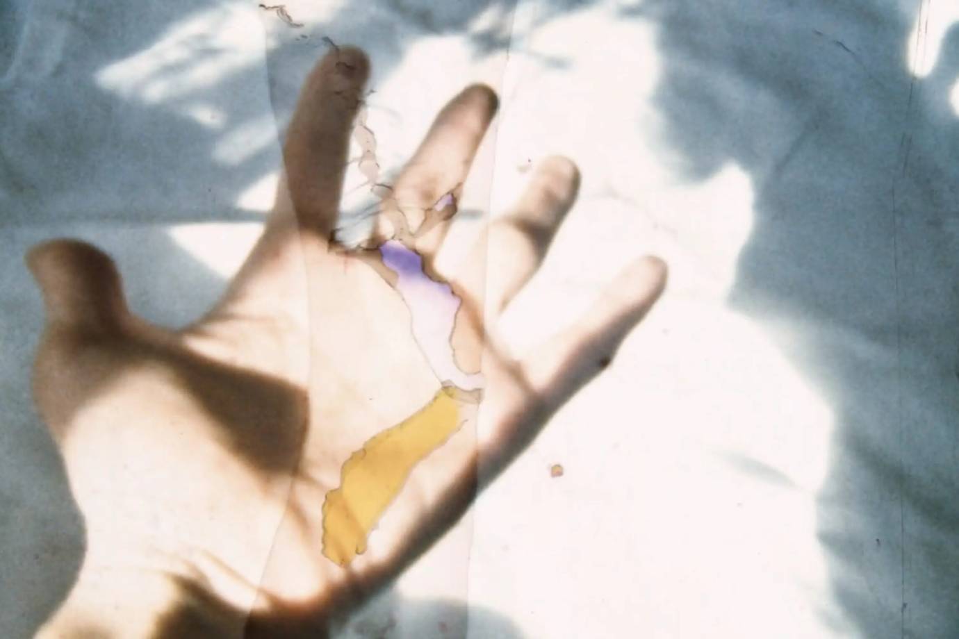 Ee355055d5e83341b48bf8c1940767d5adceb5be