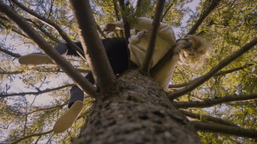 F05f1cc3efac2fdf300322cdc5a71bfba0c500cd