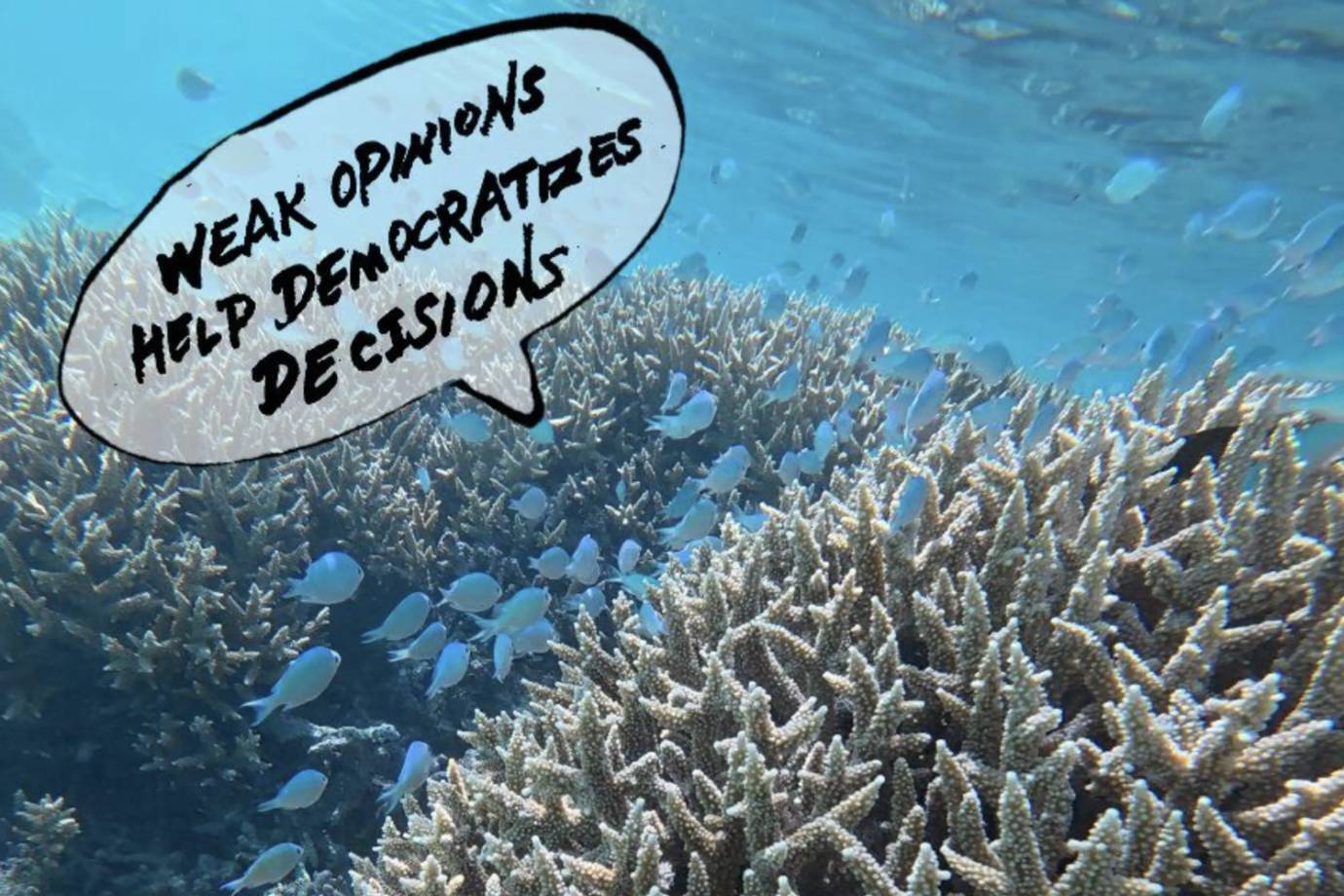 F0605c104e15904f7981a62c80fea615c57cfd69