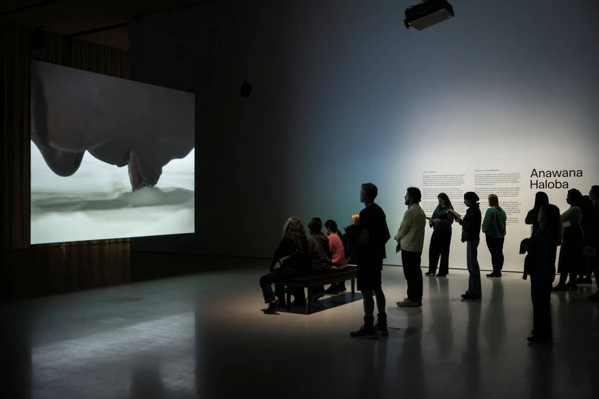 F15c54625654879aa50fa23f6090127c2d63bb3c