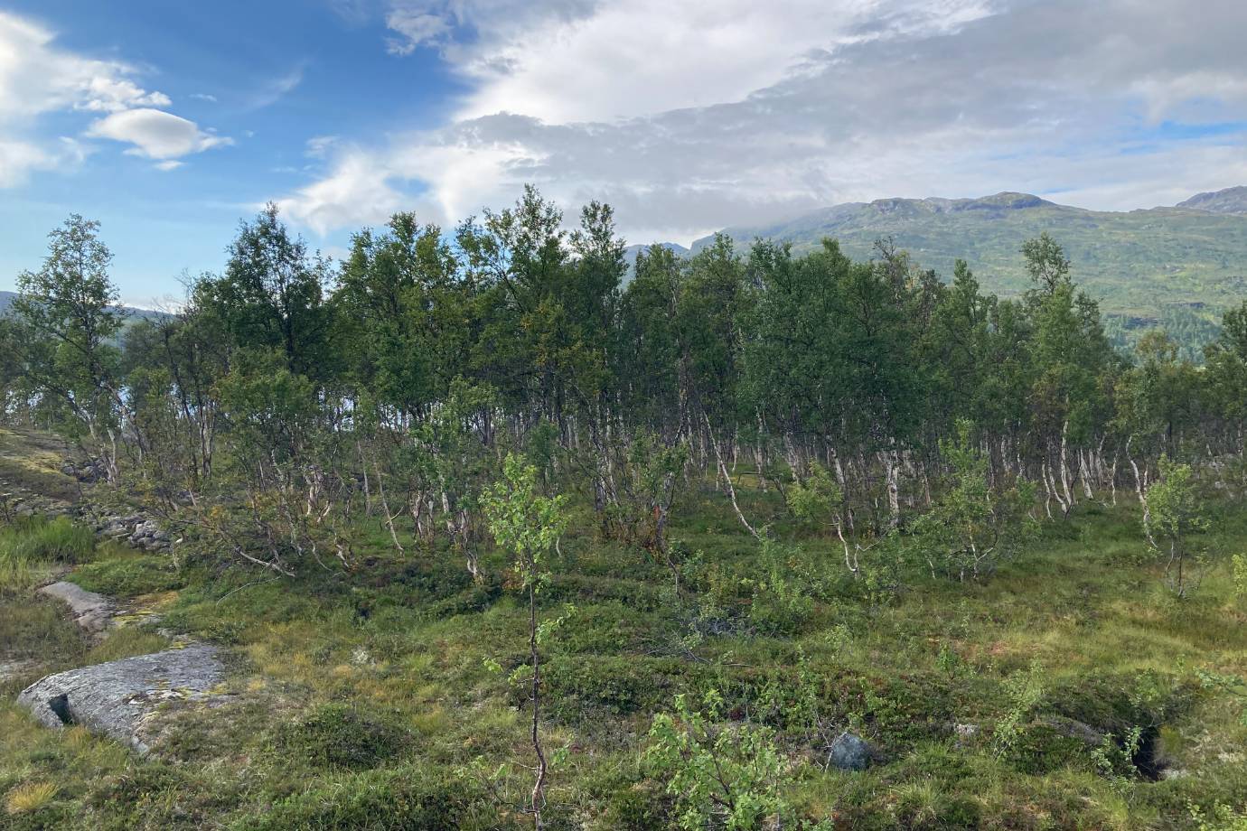 Fe91220de7fe4162653c3073af332d12f4ad4d0c