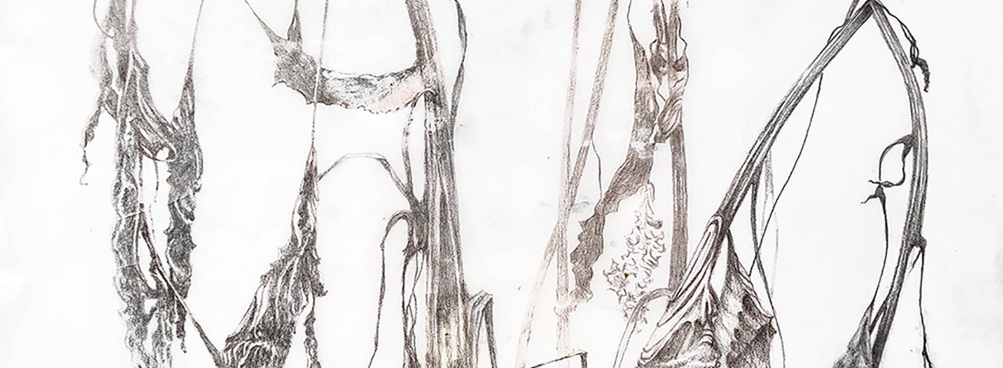 Desktop 95d2a88ae88f038d82cb7ed6009dc165d70bcf89